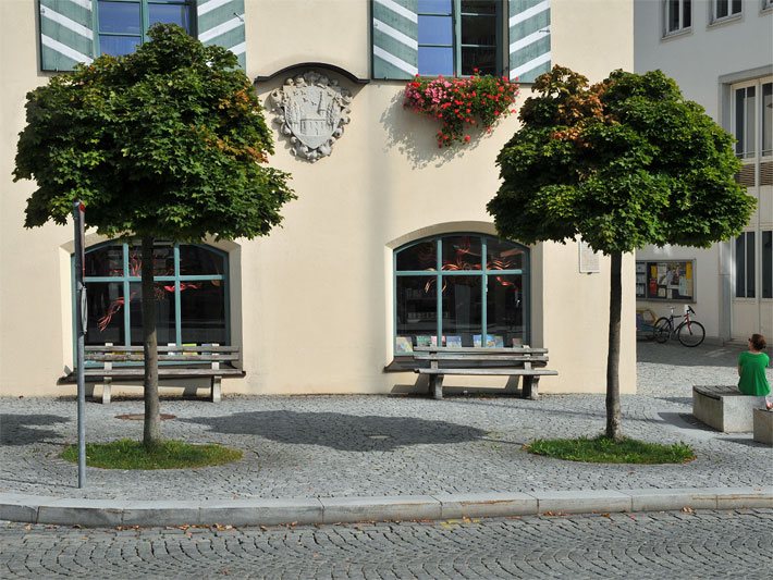 Kleinbäume Der Kleinbaum