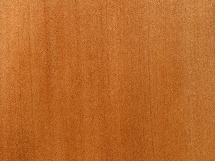 Rötlich-braunes Furnier-Holz von einem Amerikanischen Amberbaum