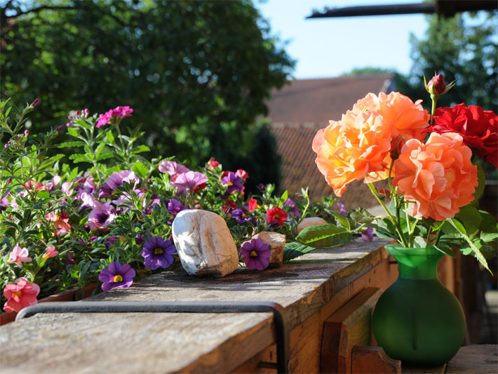 Blumenkasten mit Petunien (Petunia) bepflanzt auf einem Holz-Balkon mit eisernem Balkonblumenkastenhalter sowie und einer Blumenvase mit Dahlien (Dahlia) und Rosen (Rosa) auf dem Tisch davor stehend