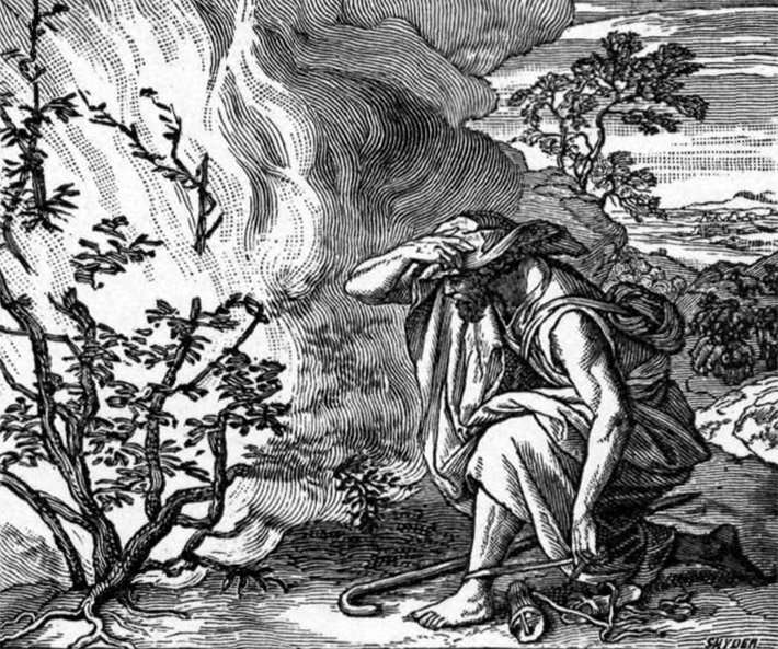 Illustration in schwarz-weiss von Moses vor dem brennenden Dornbusch