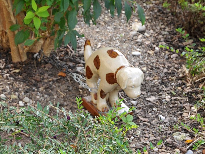 Lustige Gartenfigur aus Keramik von einem kleinen Hund mit Kette, die von bodendeckenden Sträuchern umgeben ist