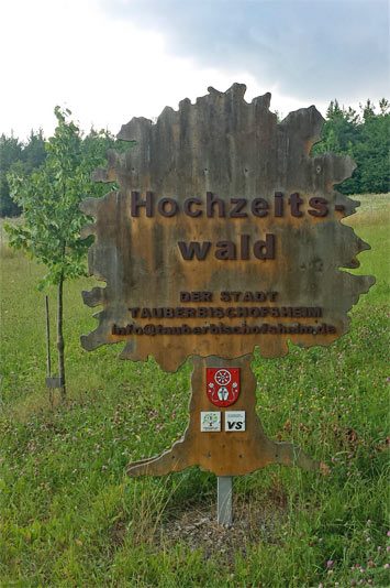 Namens-Holzschild vom Hochzeitswald der Stadt Tauberbischofsheim als ausgewiesene Fläche zum Pflanzen von einem Hochzeitsbaum für Hochzeitspaare ohne eigenen Garten