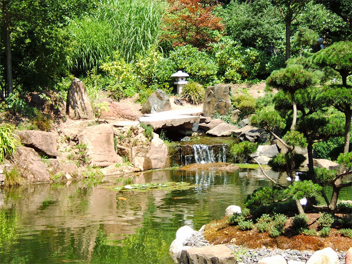 Teich im Japanischen Garten in Kaiserslautern