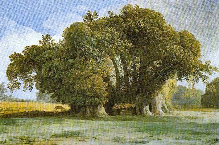 Gemälde vom Kastanienbaum der hundert Pferde (Castagno dei cento Cavalli) auf Sizilien ca. aus dem Jahr 1777 vom Maler Jean-Pierre Houël