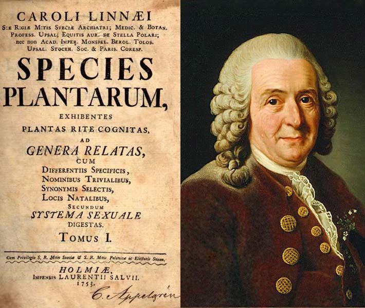 Deckblatt von Species Plantarum und Gemälde von Carl von Linne, gemalt von Alexander Roslin