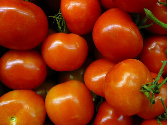 Rote Tomaten in einer Gemüse-Kiste nach der Ernte
