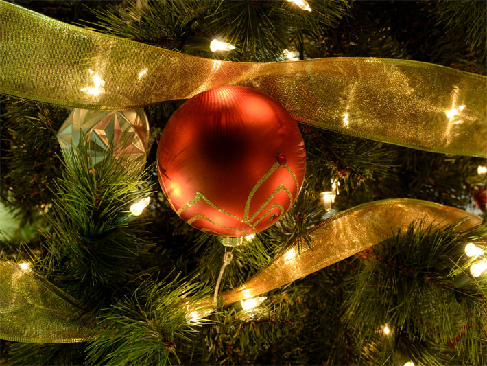 Beispiel für goldene Weihnachtsdeko und rote Weihnachtskugeln als Christbaumschmuck an einem Nadelbaum mit Christbaumbeleuchtung