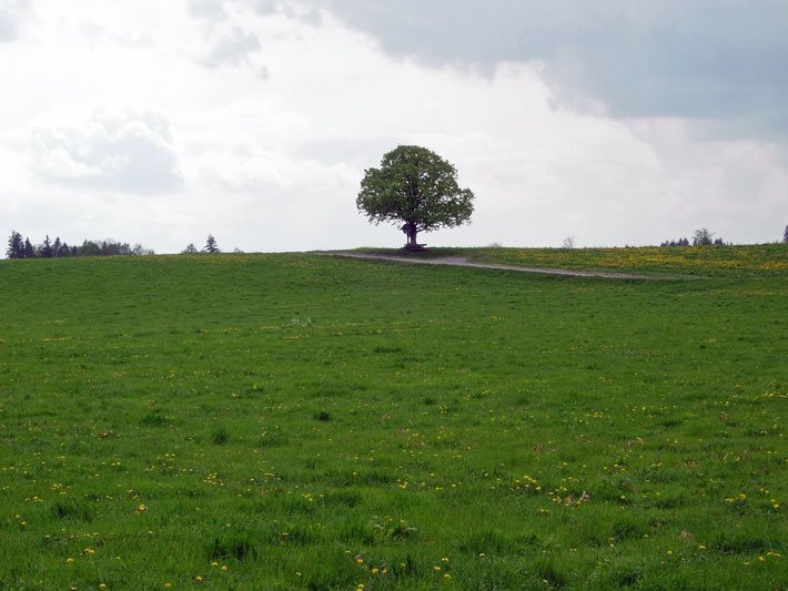 frage nach welchem zeitraum kann erkennen schwanger frage nach welchem zeitraum kann erkennen schwanger