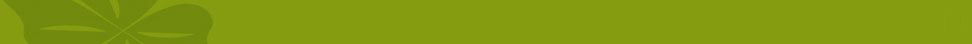 Banner Mitte mit dem mittleren Teil eines vierblättrigen Kleeblatts
