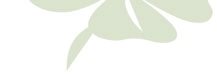 Banner unten mit dem unteren Teil eines vierblättrigen Kleeblatts