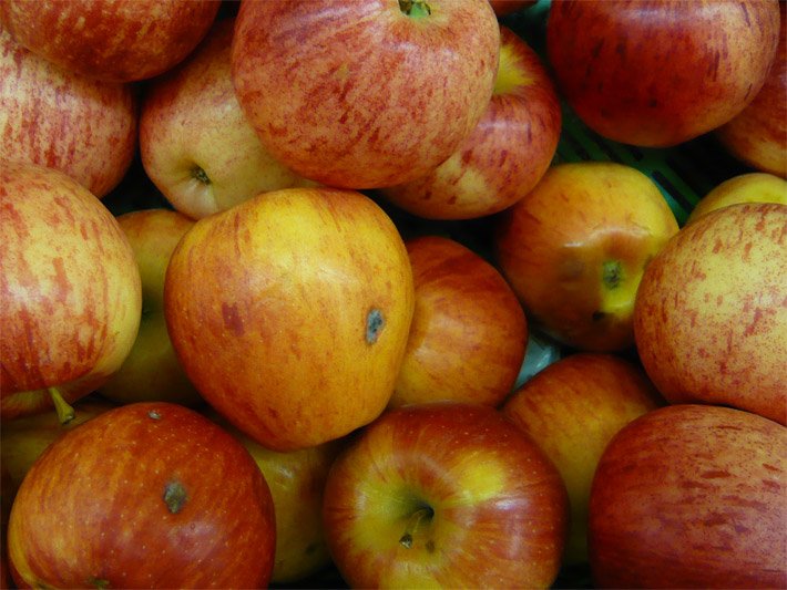 Rot-gelb-orange reife Äpfel der Sorte Royal Gala in einer Obstkiste mit grünem Kunststoffboden 