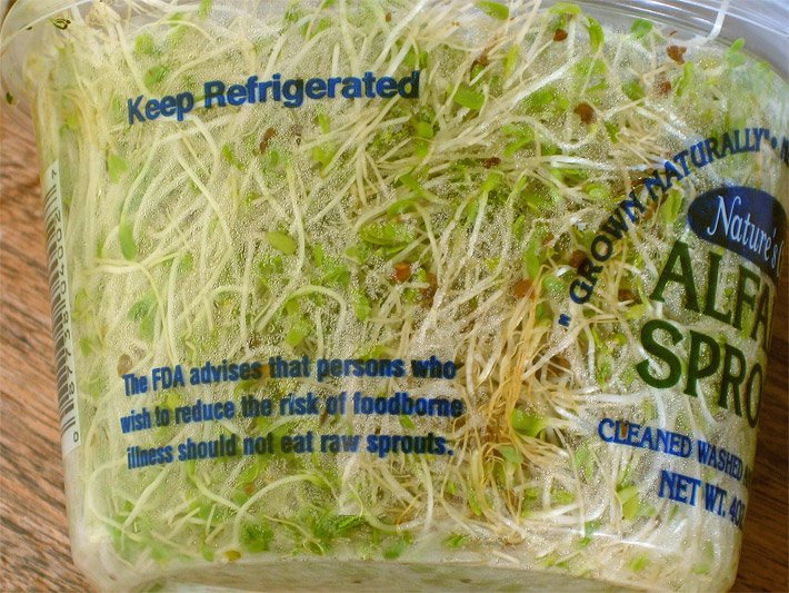 Alfalfa/Alpha-Alpha-Sprossen oder Sprouts zum Kaufen in einer Zylinder-Plasik-Box