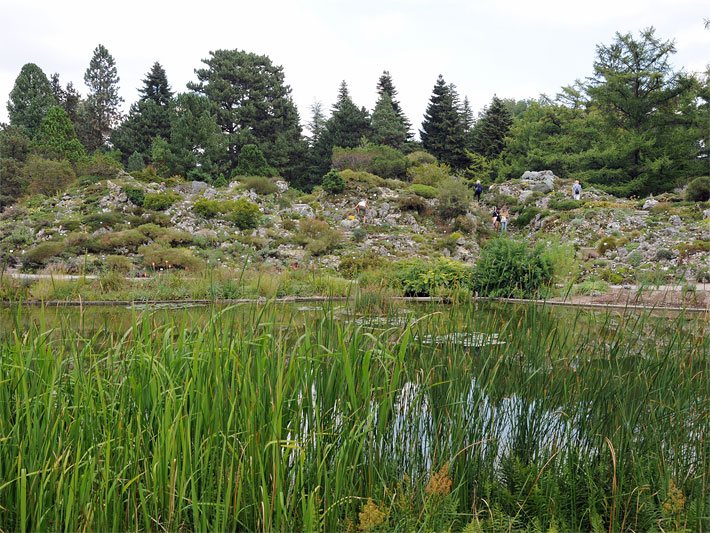 Alpinum im Botanischen Garten München, Veröffentlichung mit freundlicher Genehmigung des Botanischen Gartens München-Nymphenburg