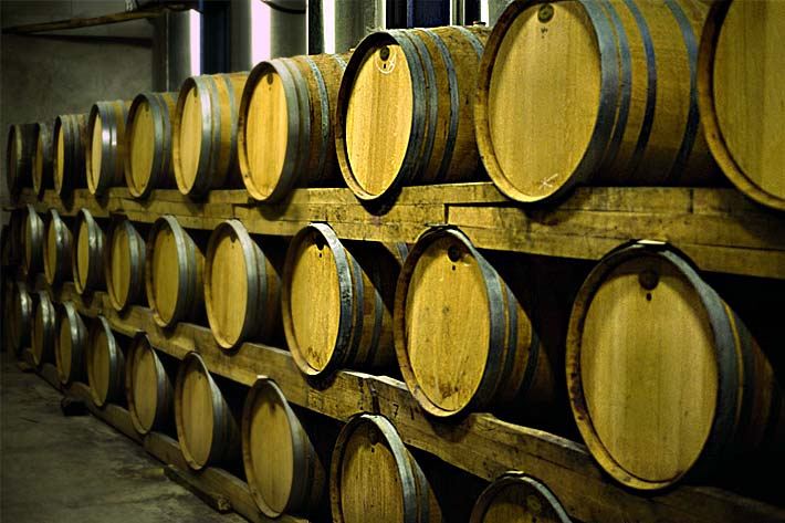 Barrique-Weinfässer aus Eichenholz in einem Weinkeller