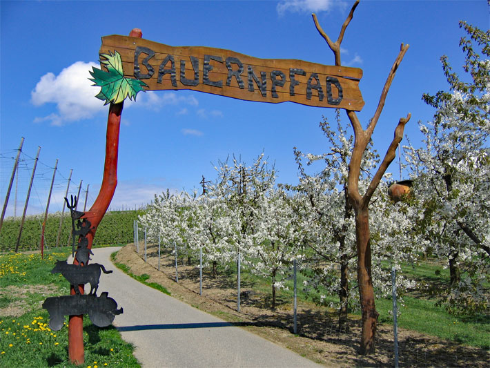 Eingang zum Bauernpfad in Kressbronn mit blühenden Obstbäumen