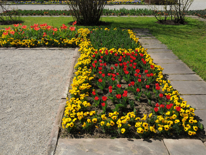 Blumenrabatte mit Beeteinfassungen aus Steinquadern und einfachen Steinplatten sowie als Beetblumen gelbe Hornveilchen (Viola cornuta) und orange-rote Garten-Tulpen (Tulipa) der Sorte Einfache Frühe Tulpe Kaiserkrone
