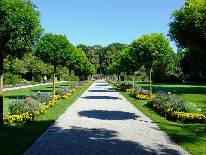 Baum-Allee im Eingangsbereich vom Botanischen Garten Augsburg mit mittelgrossen Kugel-Robinien und blühenden Blumenbeeten im Frühling