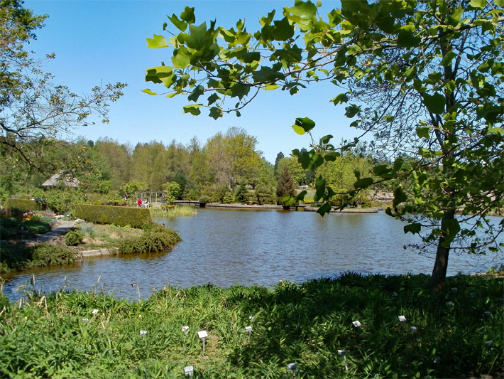 Botanischer Garten Hamburg im Bereich Pflanzengeographie im Frühling