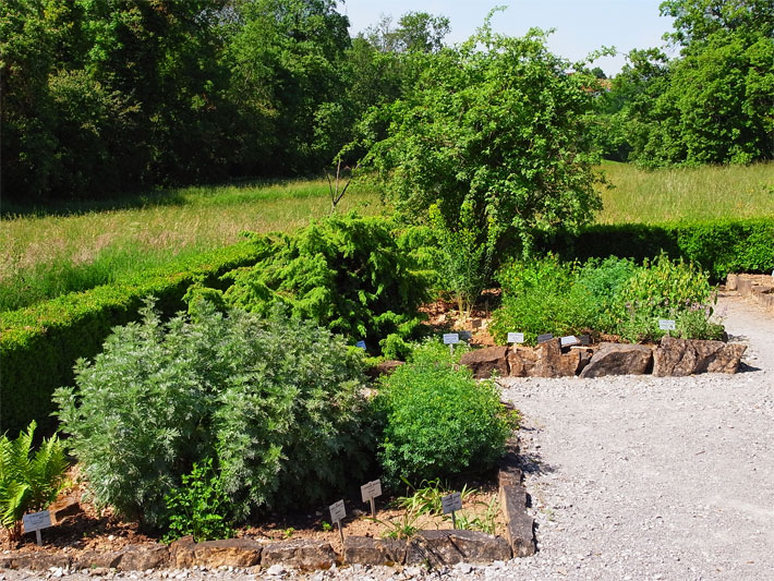 Arzneigarten-Bereich im Botanischen Garten der Hohenheimer Gärten Stuttgart