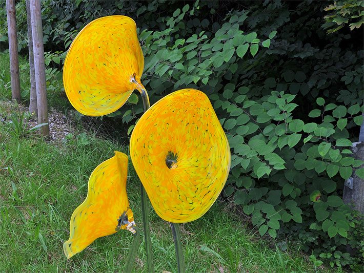 Drei trichterförmige gelben Blumen aus Glas auf transparenten, über 50 cm hohen Blumenstiehlen auf einer Garten-Wiese vor einer sommergrünen Hecke