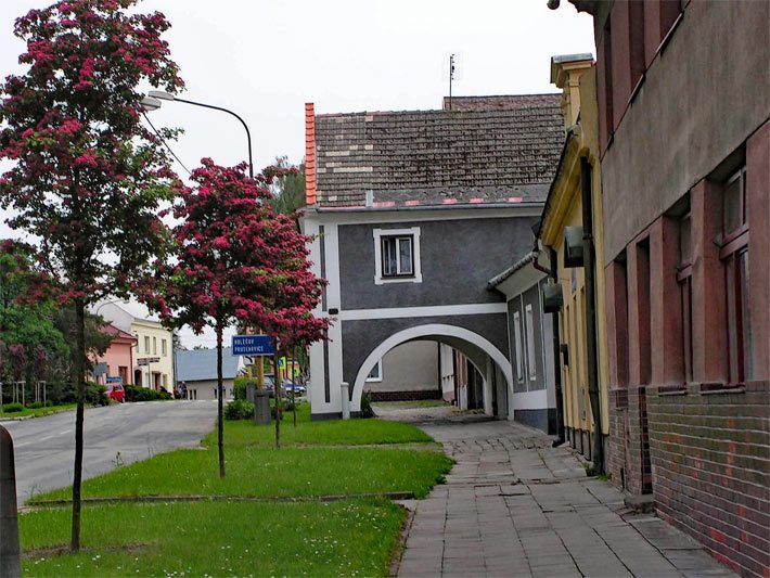 Kleinwüchsige, rotblühende Echte Rotdorne 'Paul's Scarlet' am Rand einer Straße in einem Ort