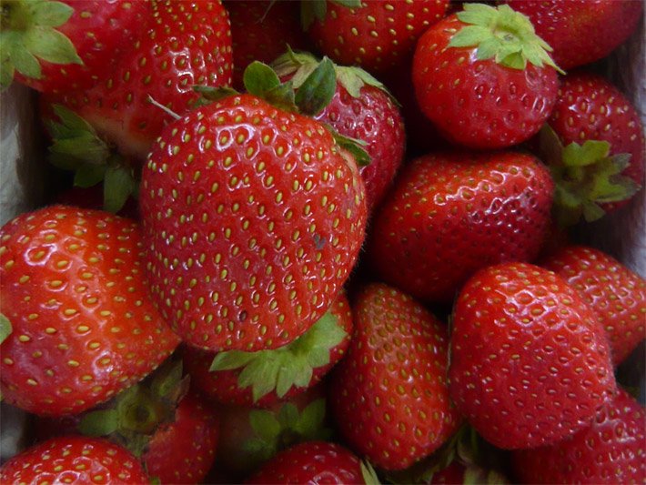 Rote, große Gartenerdbeeren in einer Schale aus weisser Pappe