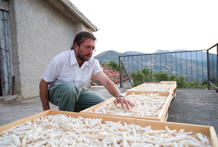 Längliche, weisse Eschenmanna-Stücke nach der Ernte in Holzkisten in einem landwirtschaftlichen Anwesen auf Sizilien