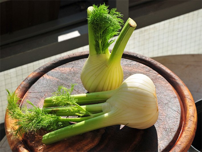 Zwei Fenchel-Zwiebeln nach der Ernte auf einem Holzbrett in der Sonne