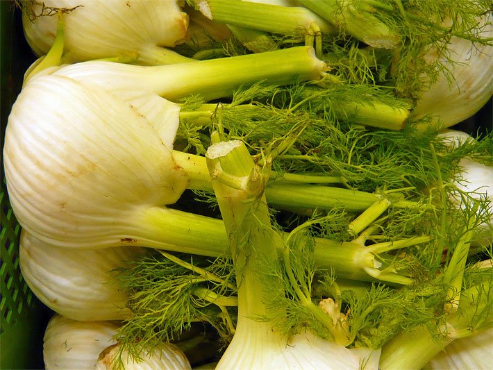 Fenchel-Knollen in einer Gemüse-Kiste zum Kaufen in einem Bio-Supermarkt
