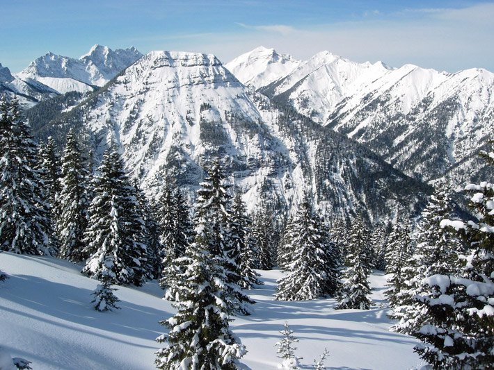 Mit Schnee bedeckter Fichtenwald im Winter in den bayerischen Alpen