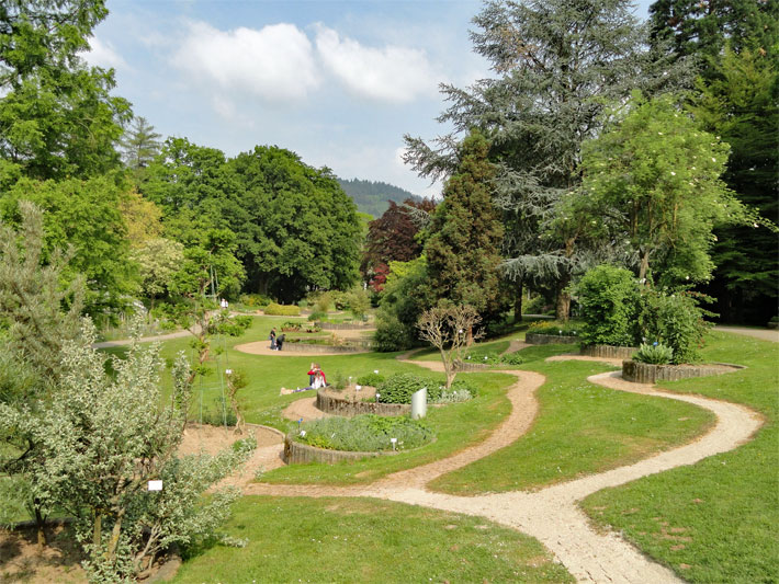 Arboretum im Freiland-Bereich im Botanischen Garten Freiburg mit Stauden-Beeten