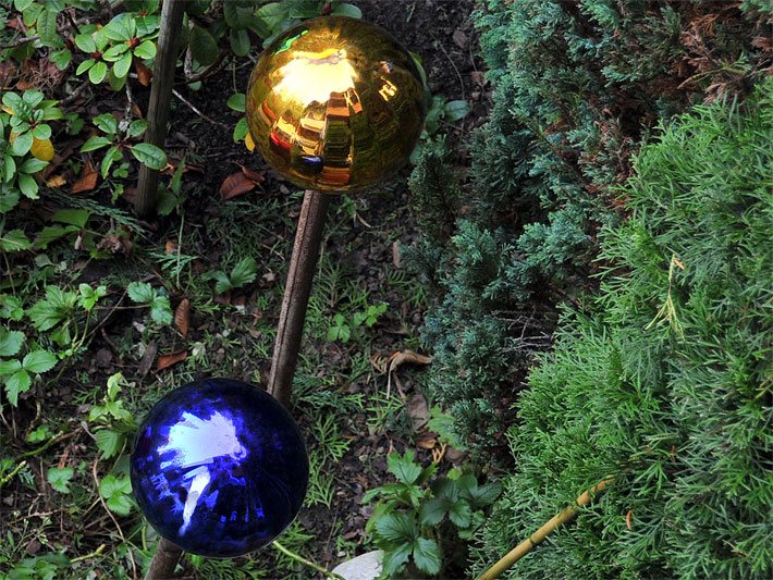 Blaue und goldene Rosenkugel aus Glas aufgesteckt auf Holz-Stöcken im Vorgarten