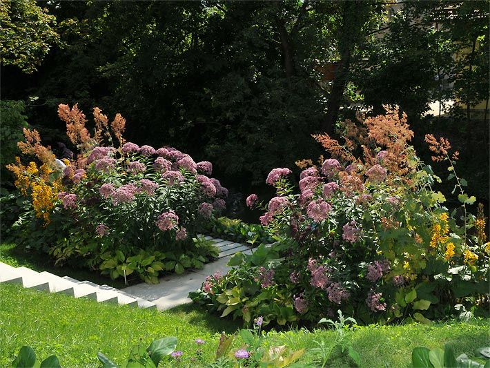 Gartenstauden-Beet im Halbschatten an einem Wiesenhügel mit weißer Steintreppe