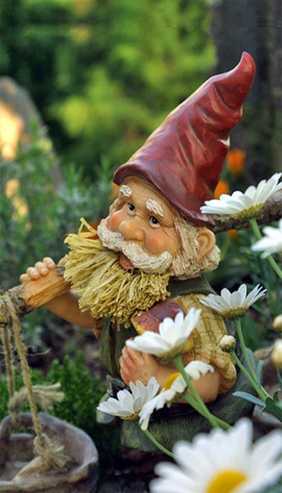 Kleiner Zwerg mit Eimer in einem Garten-Beet mit lila-dunkelroter Mütze und strohfarbenem Bart