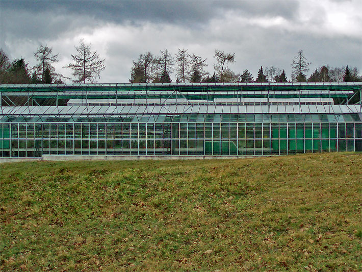 Gläsernes Gewächshaus im Botanischen Garten Ulm