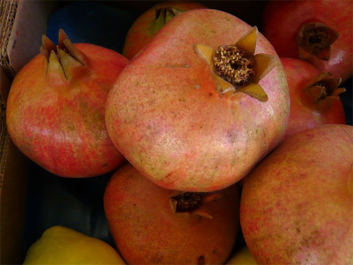 Orange-rote Granatäpfel in einem Obst-Karton