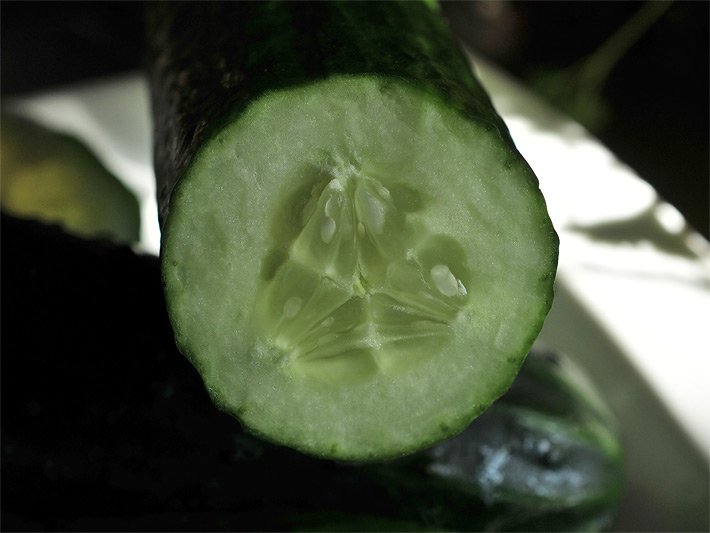 Aufgeschnittene Salat-Gurke mit einem Frucht-Fleisch innen grün