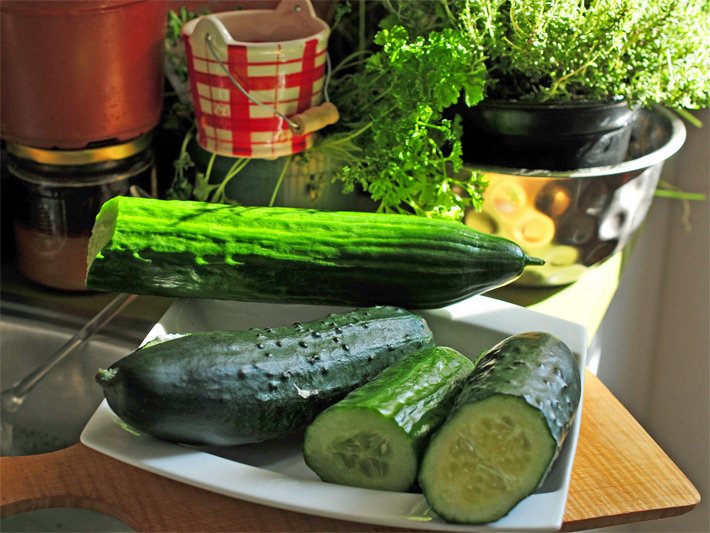 Verschiedene Salat-Gurken zum roh essen auf einem weissen Porzellanteller mit einer aufgeschnittenen Landgurke und Schlangengurke