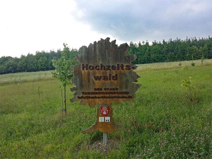 Holztafel mit Beschriftung am Eingang vom Hochzeitswald in Tauberbischofsheim