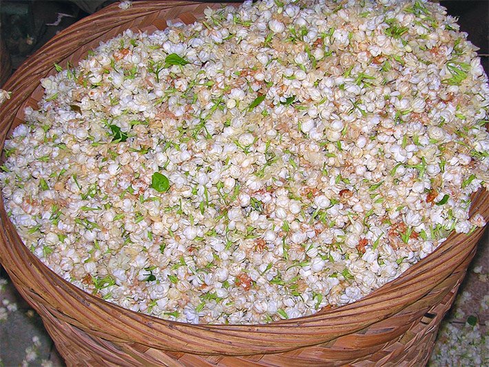 Hellbrauner Weidenkorb mit hellgrünen Teeblättern und weißen Jasminblüten