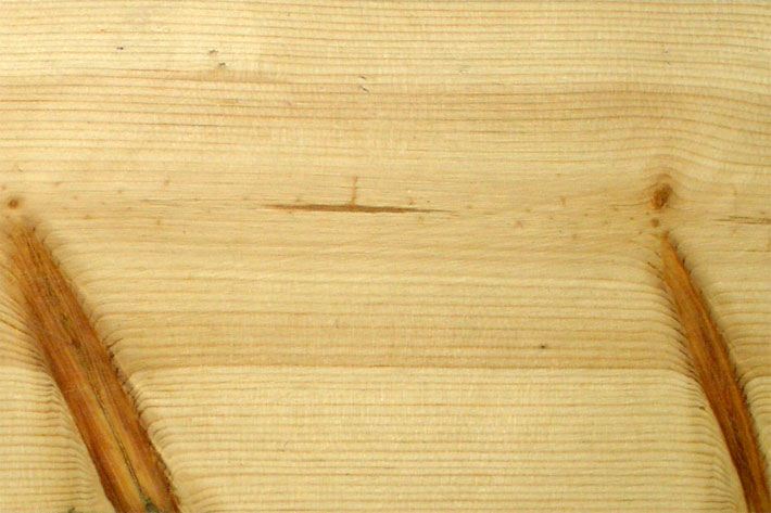 Kiefernholz-Brett als Fußboden-Diele hergestellt aus dem Holz einer Waldkiefer