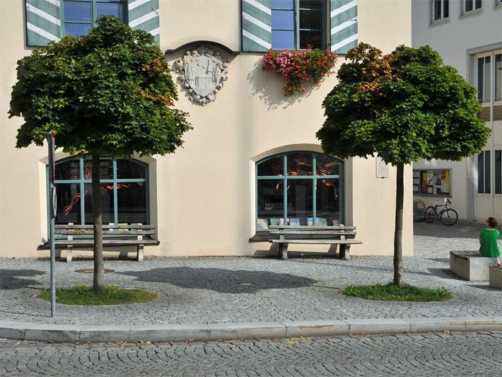 Zwei kleine Kugelahorn-Bäume der Sorte Globosum auf einem oberbayerischen Marktplatz