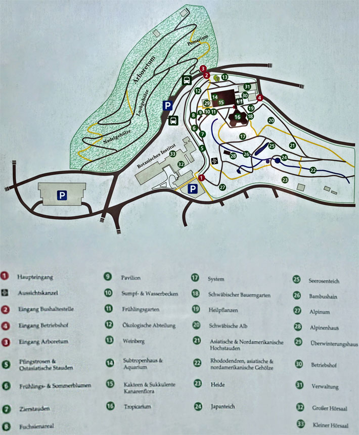 Lageplan vom Botanischen Garten Tübingen mit den folgenden botanischen Hauptbereichen: Arboretum, Botanisches Institut, Pfingstrosen & Ostasiatische Stauden, Frühlings- & Sommerblumen, Zierstauden, Fuchsienareal, Sumpf & Wasserbecken, Frühlingsgarten, Ökologische Abteilung, Weinberg, Subtropenhaus & Aquarium, Kakteen & Sukkulente Kanarenflora, Tropicarium, System, Schwäbischer Bauerngarten, Heilpflanzen, Schwäbische Alb, Asiatische & Nordamerikanische Hochstauden, Rhododendren, asiatische & nordamerikanische Gehölze, Heide, Japanteich, Seerosenteich, Bambushain, Alpinum, Alpinenhaus, Überwinterungshaus