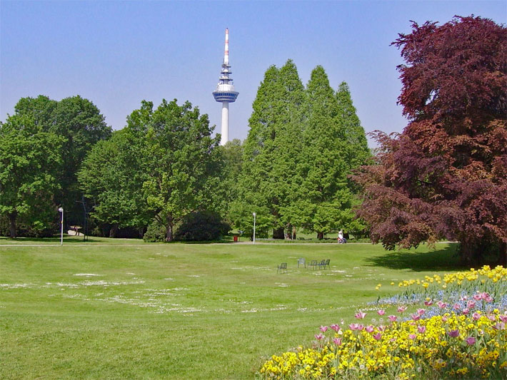 Blumenbeet, Wiesen-Grünfläche, Nadel- und Laub-Bäume im Luisenpark Mannheim mit dem Fernsehturm im Hintergrund