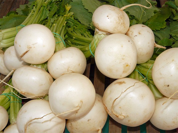 Mehrere weiße Mairüben-Knollen nach der Ernte in einer Gemüse-Kiste