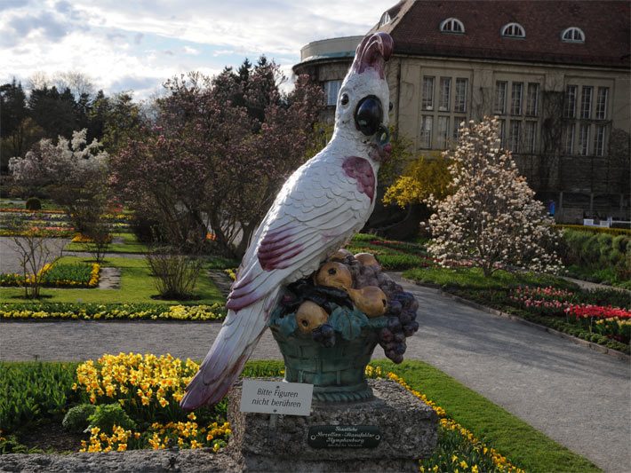 Weiss-violett gefiederter Majolika-Kakadu im Botanischen Garten München, Veröffentlichung mit freundlicher Genehmigung des Botanischen Gartens München-Nymphenburg