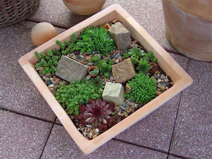 Idee für einen Mini-Steingarten in einem quadratischen, unglasierten Tontopf in heller Terracotta-Farbe