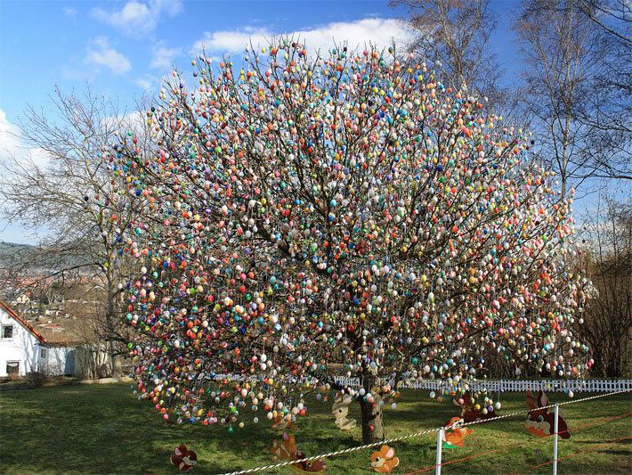 Größter Ostereierbaum in Saalfeld, ein Apfelbaum mit über 9.000 Ostereiern im Frühjahr am 24. März 2009