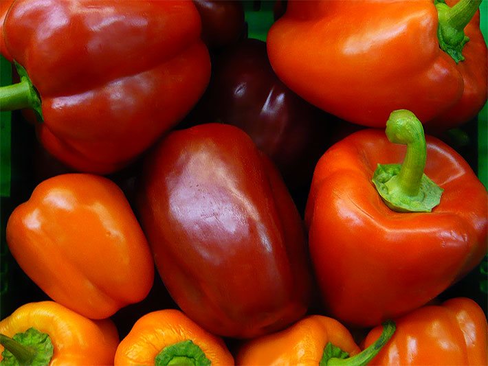 Paprika rot in einer Gemüse-Kiste nach der Ernte