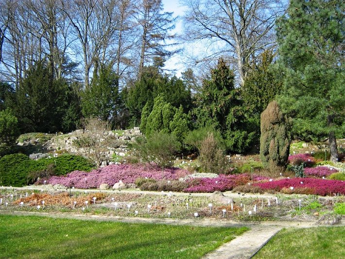 Blumenrabatte im Park Sanssouci im Botanischen Garten Potsdam
